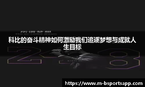 bsports登录入口