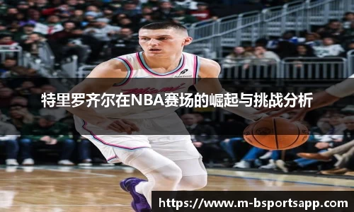 bsports登录入口