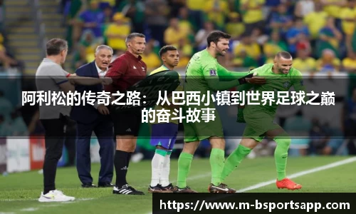 bsports体育